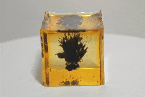 First magnetic field experiment